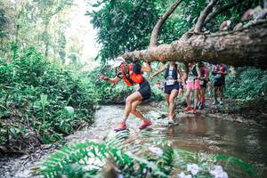 BIB: 
                            <button type="button" onclick="openModal(25453846)" class="btn btn-primary btn-sm float-right btn-popup" data-toggle="modal" data-target=".modal-high-quality">
                        <i class="fas fa-shopping-cart"></i> Add to Cart
                    </button>
                                            <button type="button" onclick="isThisMe(25453846, true)" class="btn btn-success btn-sm float-right btn-popup btn-isme hidden" data-toggle="tooltip" data-placement="bottom" title="นี่คือรูปของคุณใช่ไหม คลิกที่นี่เพื่อเอาเข้าอัลบั้ม">
                        <i class="fas fa-plus"></i> Add to album
                    </button>
                    <button type="button" onclick="isThisMe(25453846, false)" class="btn btn-warning btn-sm float-right btn-popup btn-isnotme hidden">
                        <i class="fas fa-ban"></i> Remove from album
                    </button>